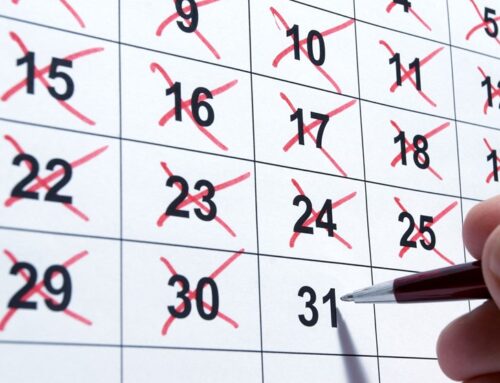 Tax Diary November/December 2025