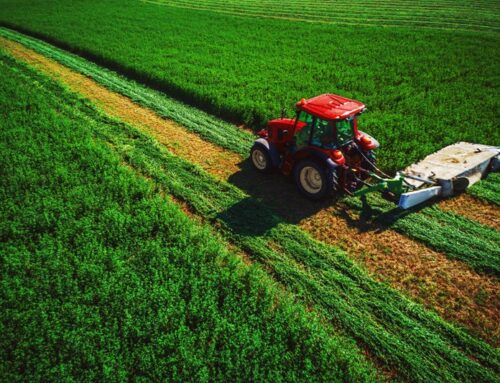 Agricultural and business property relief changes