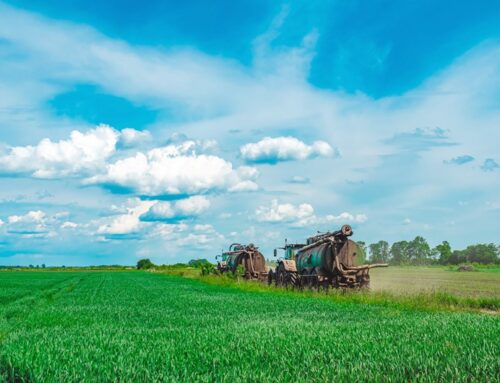 Changes to Agricultural and Business Property Relief reforms