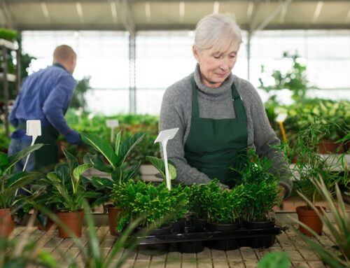 The rise of the silver economy